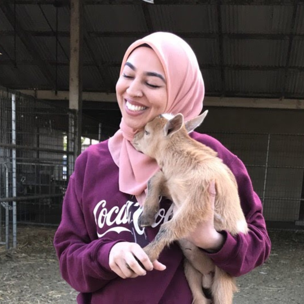 Meet your Posher, Baiba